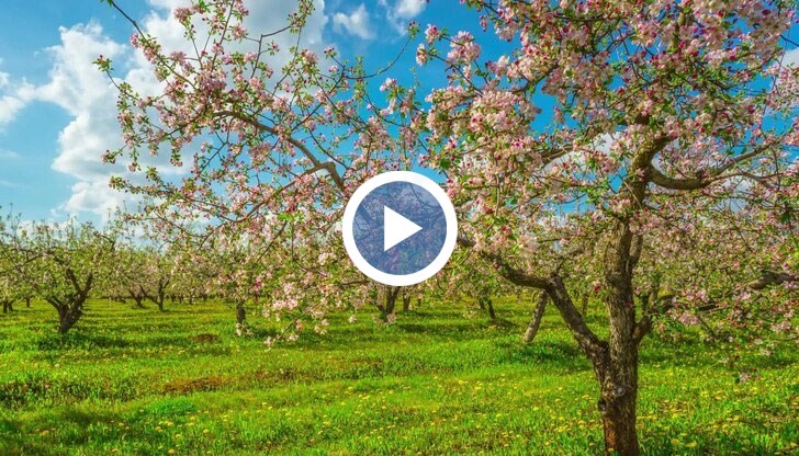 Инфраструктурата за напояване в община Сливо поле е съсипана заради липса на поддръжка, каза земеделецът