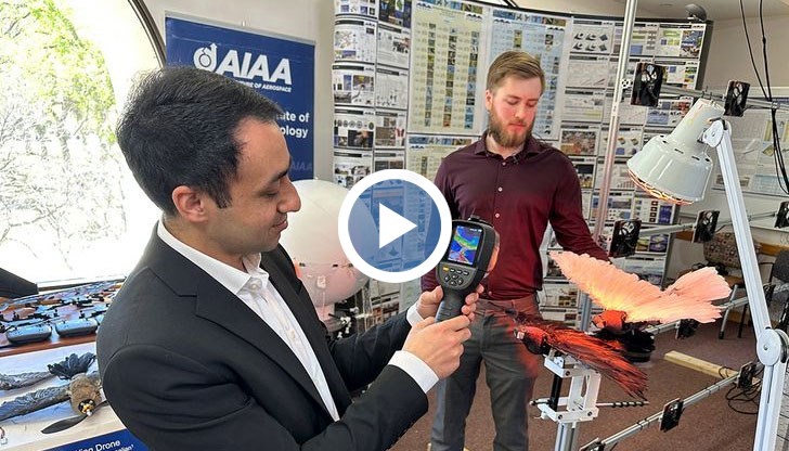 Прототипът на птица-дрон лети максимум до двадесет минути