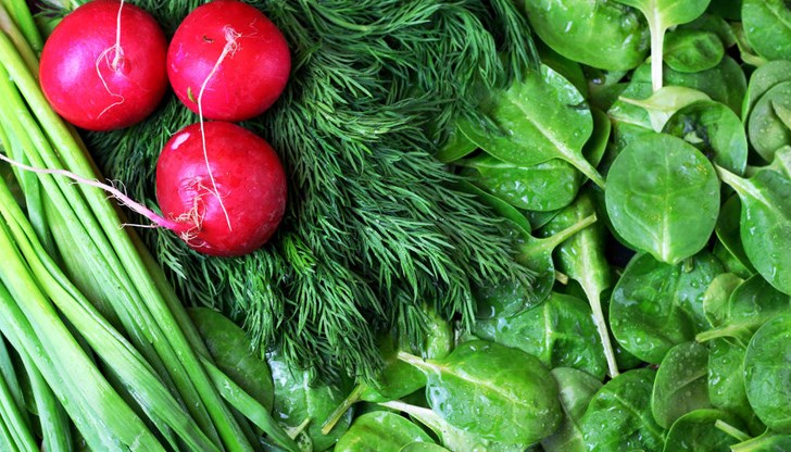 Вносните салати са пълни с нитрати, а родният зарзават е чист