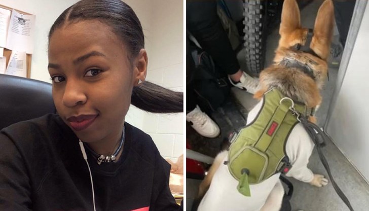 Пред очите на всички пътници и превозен персонал учителката Ариел Бъртли е била атакувана на расистка основа във влака от София за Велико Търново Пред очите на всички пътници и превозен персонал учителката Ариел Бъртли е била атакувана на расистка основа във влака от София за Велико Търново