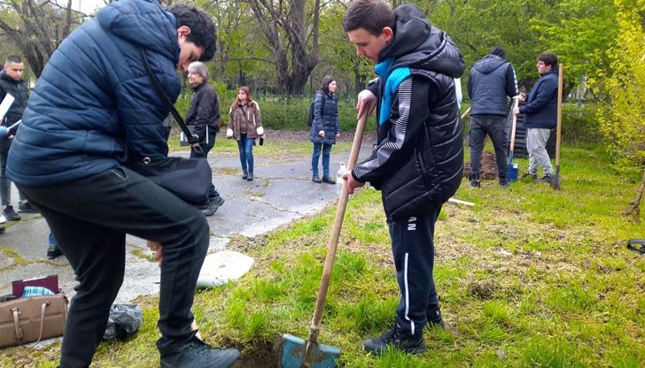 По време на двудневната акция ще бъдат засадени дръвчета в училищни дворове По време на двудневната акция ще бъдат засадени дръвчета в училищни дворове