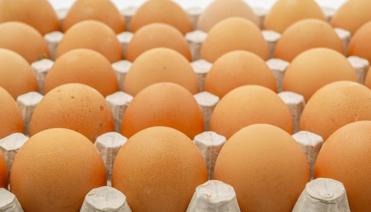 Яйцата са били за атинското предградие Глифада, остров Кос и Ретимно на остров Крит