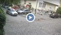 Шофьор прегази куче в София и избяга