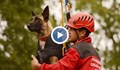 Търсят се 50 000 лева за специален транспорт за спасителните кучета от ПСС
