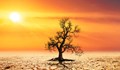 ООН: Следващите пет години ще бъдат най-горещият период в историята