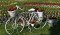 Декоративно колело "цъфна" в градската градина