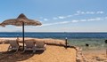 Сянката на плажовете в Майорка е по-евтина от тази по българското Черноморие