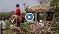 Стотици хора се повозиха из Лондон в реплика на кралската карета