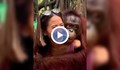 Орангутан раздава целувки в зоопарк в Тайланд