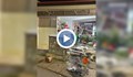 Шофьорката, врязала се в цветарски магазин, се е движила с над 100 км/ч.