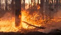 Евакуираха стотици души в Западна Испания заради горски пожар