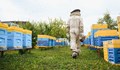 Откраднаха пчелни кошери в село Пепелина