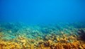 Геолог: Климатичните промени повличат Черно море към смъртта