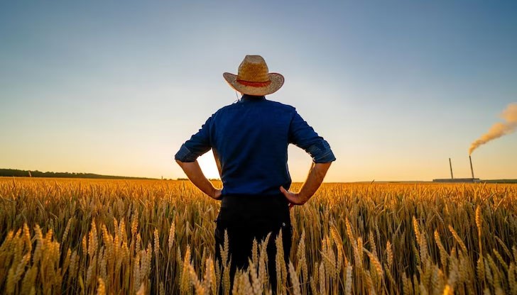 В началото на годината ЕС осигури за българските земеделци над 16 милиона евро обезщетения В началото на годината ЕС осигури за българските земеделци над 16 милиона евро обезщетения