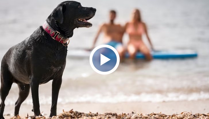 Решението раздели хората на две