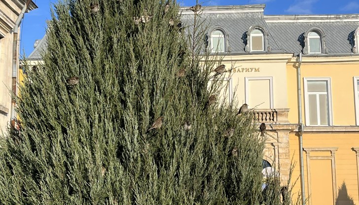 Събитието ще се проведе на 13 май