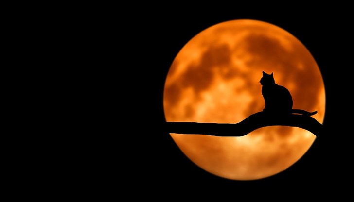 Учени разкриха как ни влияе тази фаза на Луната