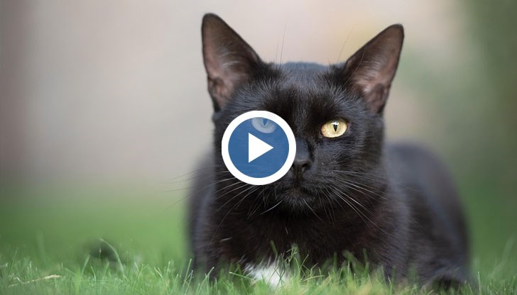 Нападението се случва посред бял ден