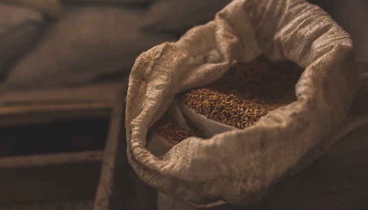 Стигат ли корабите с украинско зърно до бедните държави?