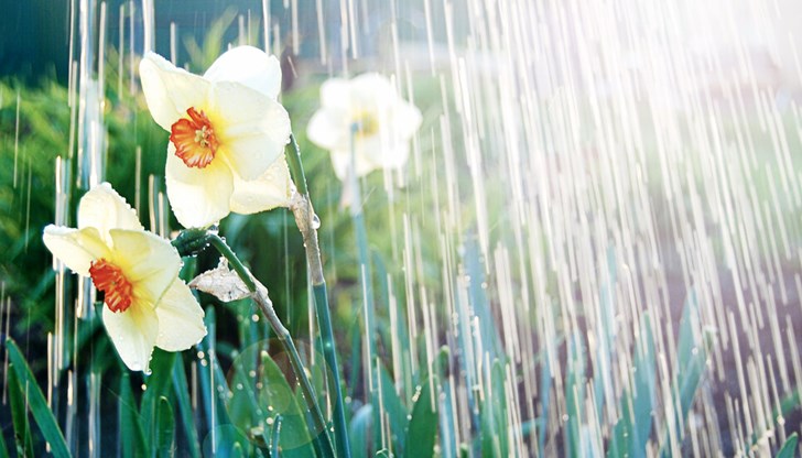 Попадаме в средиземноморски циклон Попадаме в средиземноморски циклон