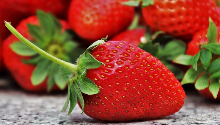 Подобряват имунната система Подобряват имунната система