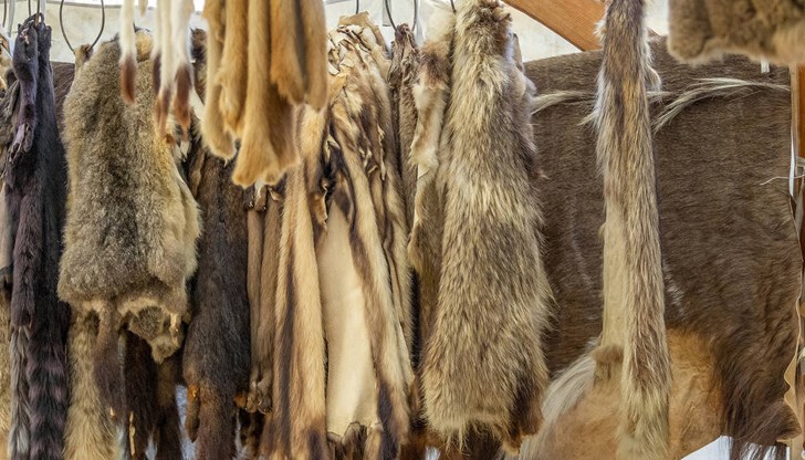 Гръцки търговец на кожи дължал 1 милион евро