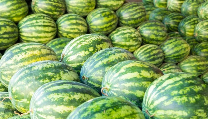 Въпреки че има закъснение, качеството на реколтата не е засегнато, увери експерт