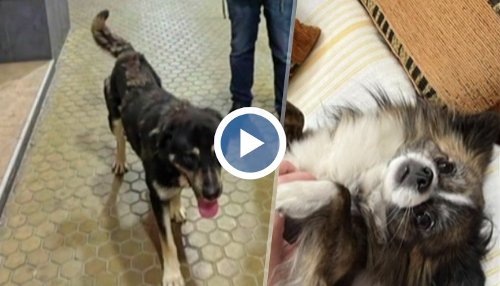 Инцидентът става в центъра на града на метри от сградата на полицията