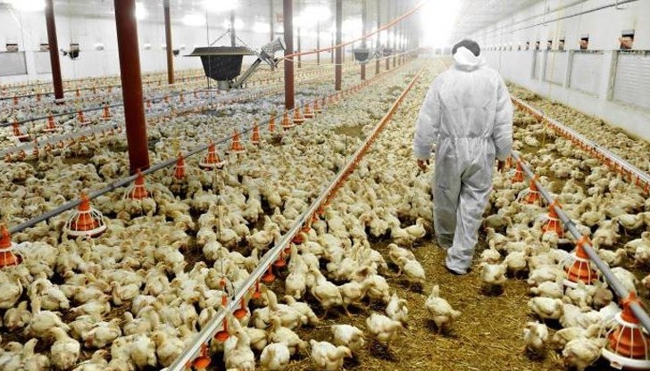 Инфлуенцата се превръща в постоянна глобална заплаха, вече не е само сезонна