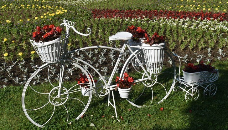 С любопитна нова придобивка е украсена градската градина в Русе