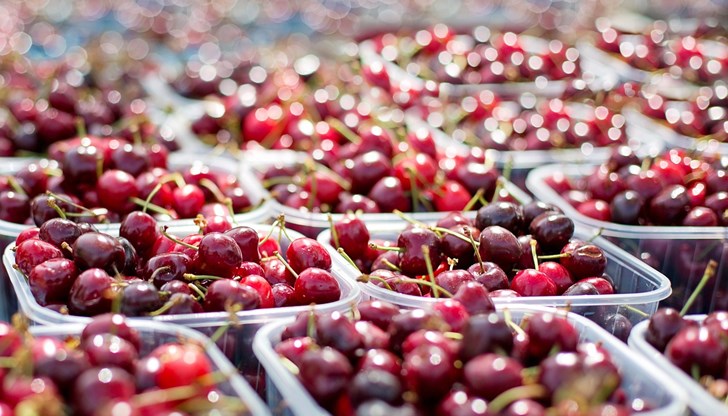 Продукцията на пазара в момента масово е гръцка Продукцията на пазара в момента масово е гръцка