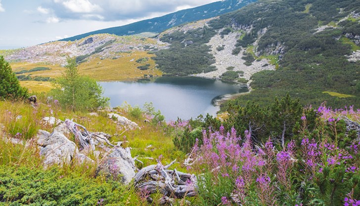 България е сравнително бедна на езера и езерни води
