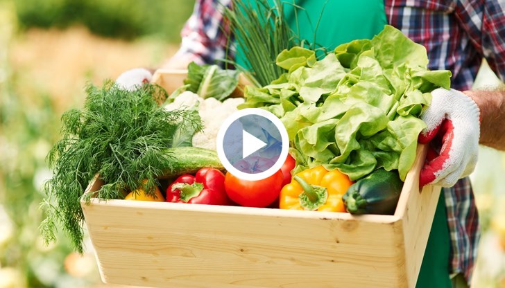 Експертите прогнозират по-евтиното синьо гориво да бъде временно явление