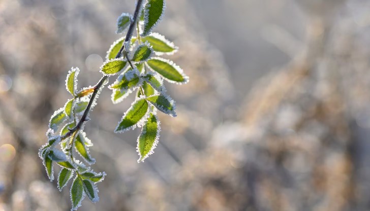 Майски сняг изненада родопското село Лилково Майски сняг изненада родопското село Лилково