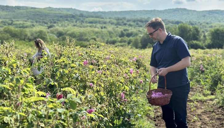 В Зелениково се намира най-голямата действаща розоварна на Балканите