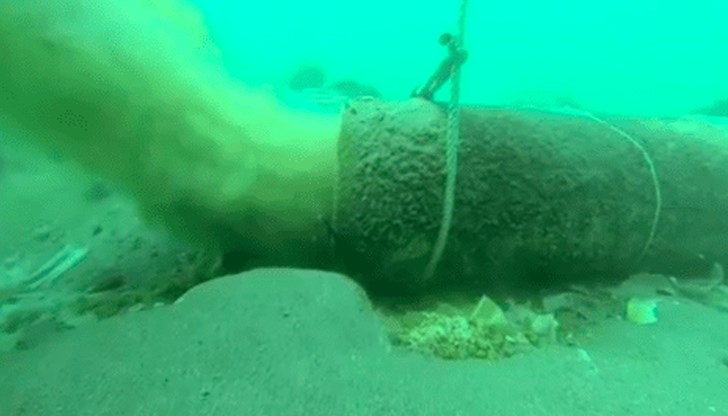 Учени откриха ДНК увреждания и мутации в мидите в Черно море