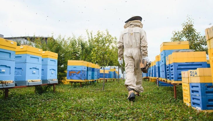 Липсват близо 30 кошера Липсват близо 30 кошера