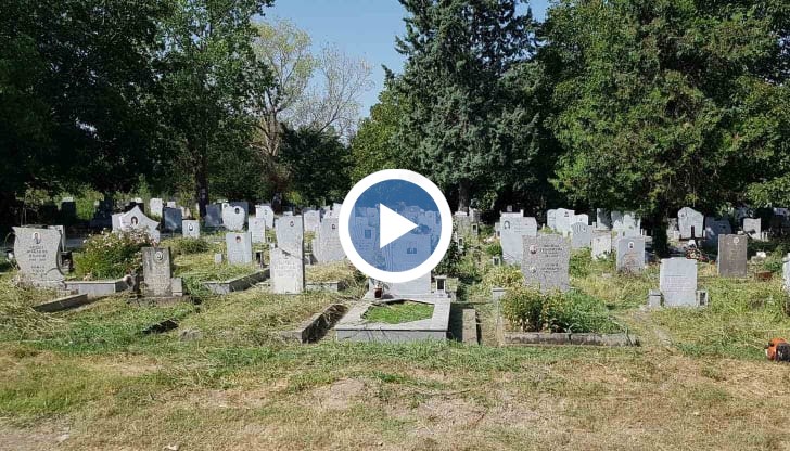 Раждаемостта в България е близка до средната в ЕС, но сме първенци по смъртност