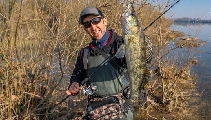 Забраната бе в сила, за да се даде възможност на хищника да се размножи да продължи популацията на вида Забраната бе в сила, за да се даде възможност на хищника да се размножи да продължи популацията на вида