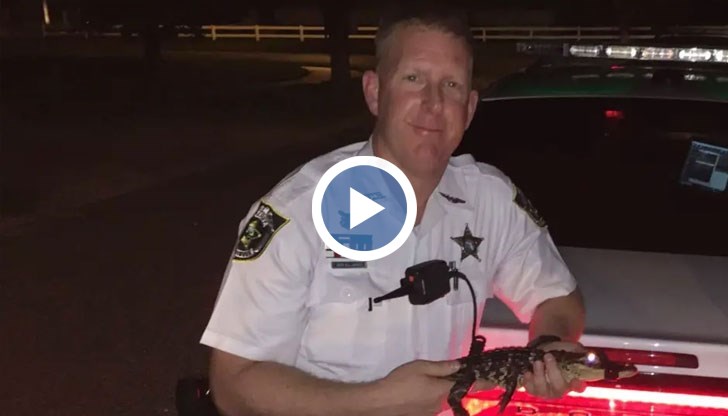 Благодарение на Даниел Джоунс на бял свят се е появило здраво момиченце