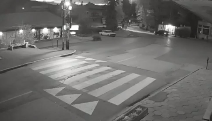 Мечка се разходи в София 2 https://netnews.bg/wp-content/uploads/2023/05/d0bcd0b5d187d0bad0b0-d181d0b5-d180d0b0d0b7d185d0bed0b4d0b8-d0b2-d181d0bed184d0b8d18f.jpg 20f5403b825e4fd28be43e42805449c8 https://netnews.bg/wp-content/uploads/2023/05/d0bcd0b5d187d0bad0b0-d181d0b5-d180d0b0d0b7d185d0bed0b4d0b8-d0b2-d181d0bed184d0b8d18f.jpg