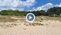 "Биволъ": Багери на Община Царево заличиха дюните на Корал след обаждане на Кирил Петков
