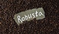Цената на кафето Робуста достига най-високата си стойност от 2008 година насам