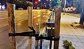 Служители на фирма отрязаха дръвчета, защото пречили на билборд в София