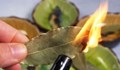 6 невероятни ползи за здравето от изгарянето на дафинови листа