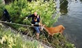 Пожарникари измъкнаха елен от канал в Сливенско