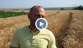 Русенски зърнопроизводител: Трябва да изкарам 700 кг от декар пшеница, за да си покрия разхода