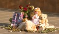 ВКС връща делото на спецполицая, убил 8-годишната Моника на пешеходна пътека