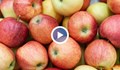Ще има ли български ябълки на пазара?