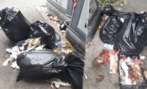 Боклуците по улица "Борисова"